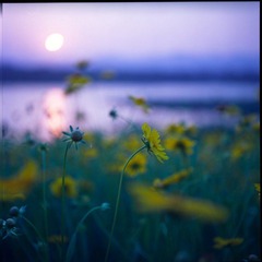 IMG056.jpg