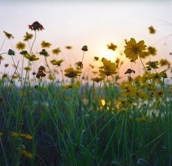 IMG045.jpg