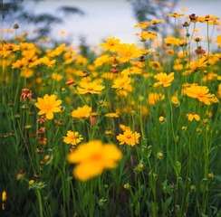 IMG048.jpg