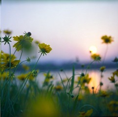 IMG052.jpg