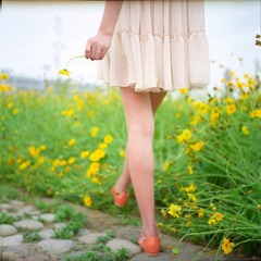 IMG003.jpg