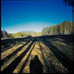 Image1