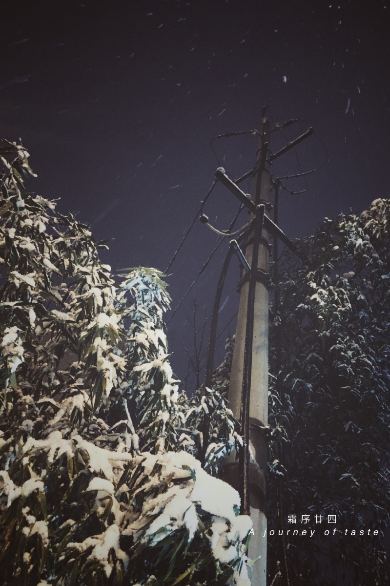 夜晚的街道,安静得只有雪落下的声音.