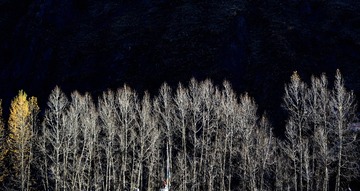 DSC_2362_02