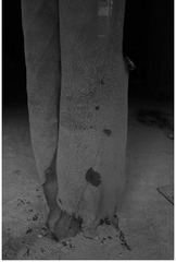 DSC_5175_
