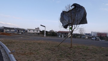 P1730124