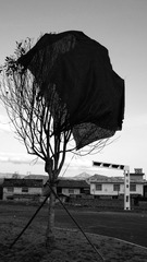 P1730120