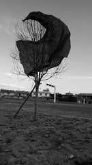 P1730122