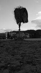 P1730128