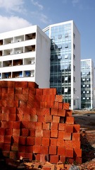 P1730387