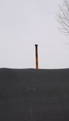 P1730355