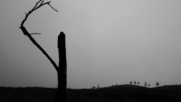 P1730638