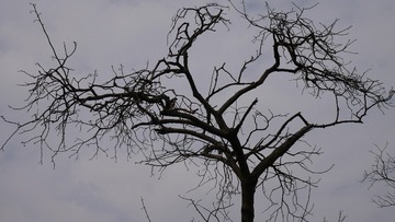P1730407