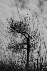 P1740378