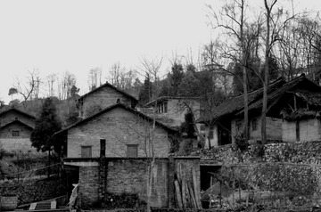 DSC_3763 - 