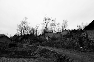 DSC_3745 - 