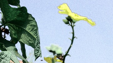 03 (1)