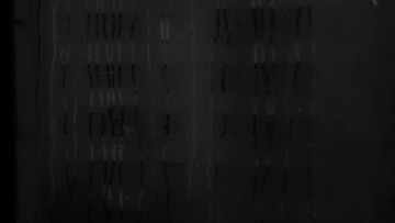 P1760841