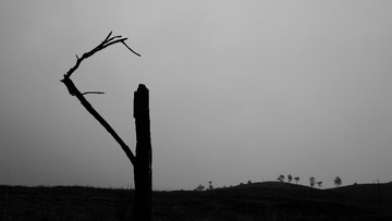P1730639