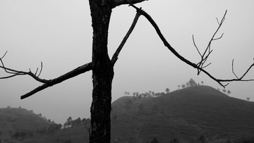 P1730644