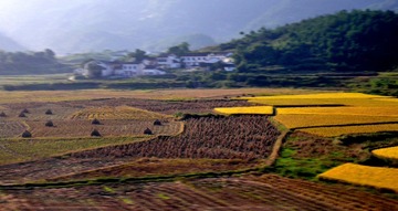 P1700596