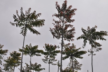 P1740051