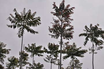 P1740050