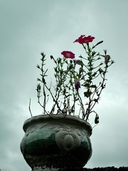 P1680994