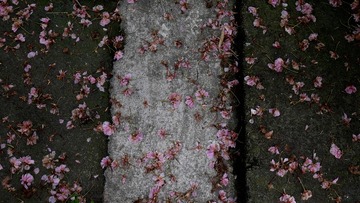 P1770218