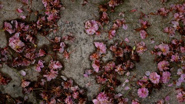 P1770216