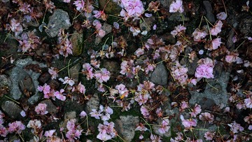 P1770223