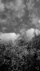 P1730046