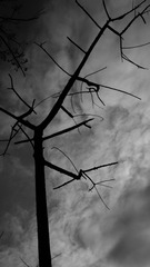 P1730105