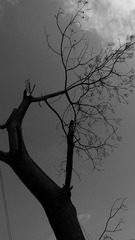 P1730103