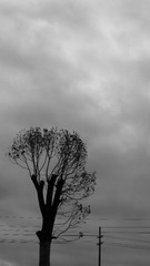 P1730132