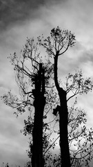 P1730127