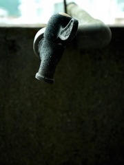 P1680967