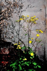 P1710530