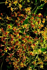 P1710501