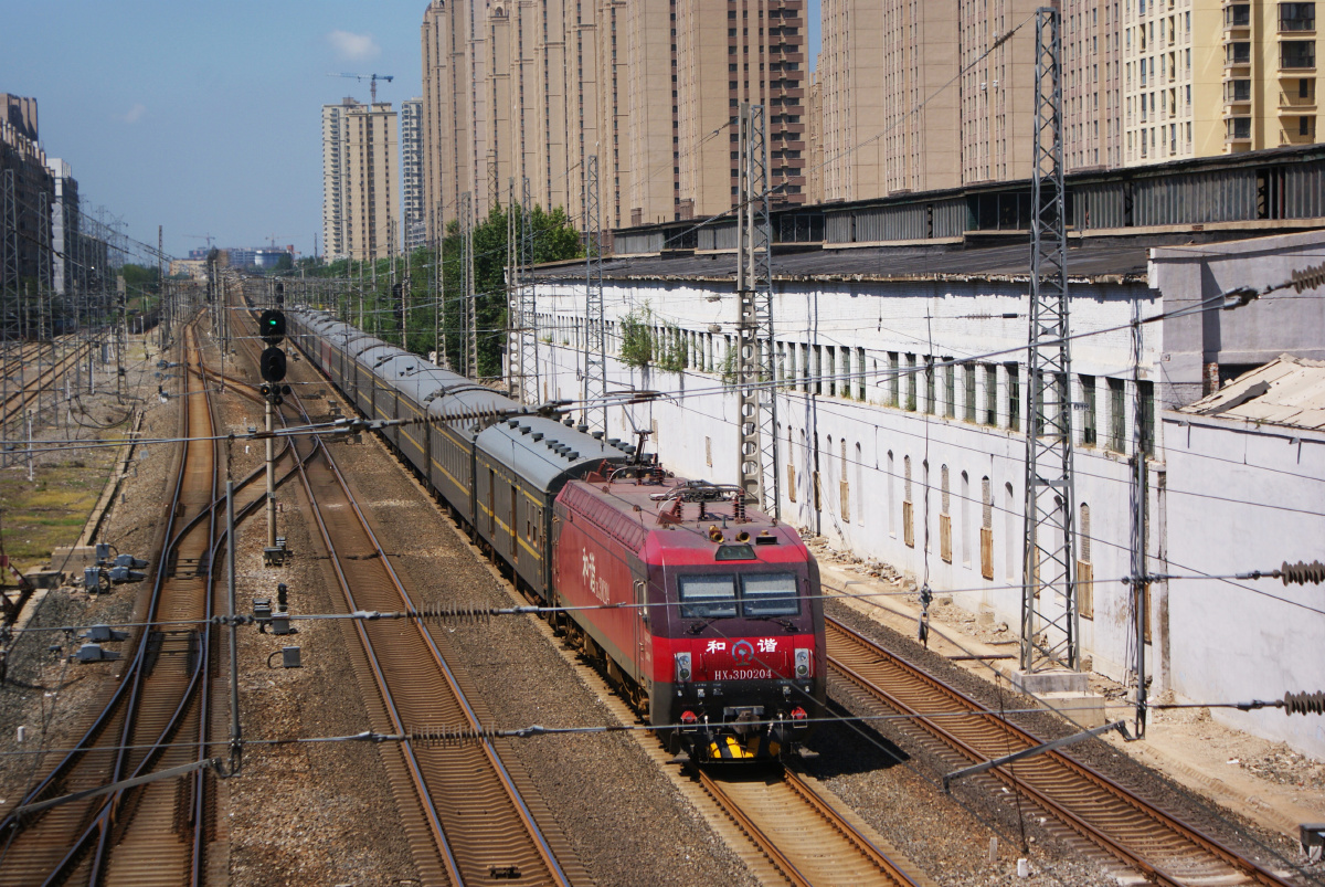 《孤独的牧羊人》