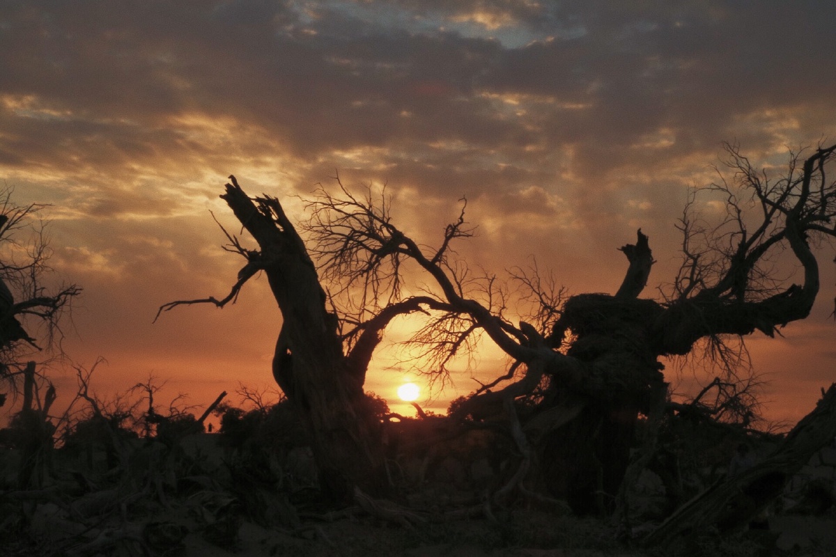 我们都是世间的一粒尘埃