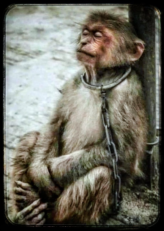 生活就像枷锁怎可挣脱怎能挣脱