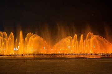 _DSC0225