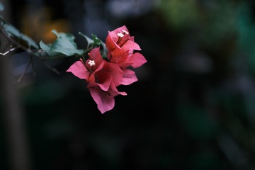 820EAB53-C382-47FA-92D0-9CB7A0B17B93/L0/001