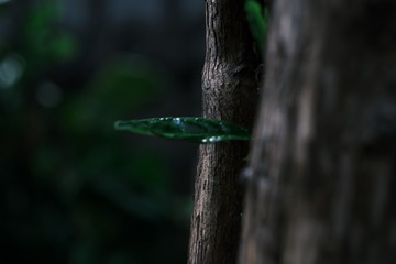 C4187842-C0E2-4142-A8F8-074D460B4717/L0/001