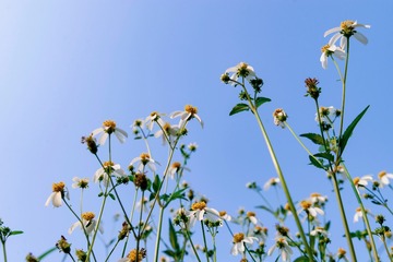 D5B4642E-A623-413C-A23C-D86AEE46CCD1/L0/001