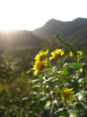IMG_4679.JPG