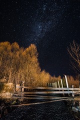 星
