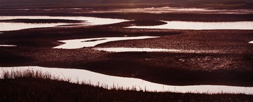 IMG_1044aa