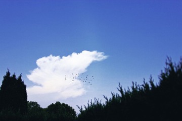 蓝色天空